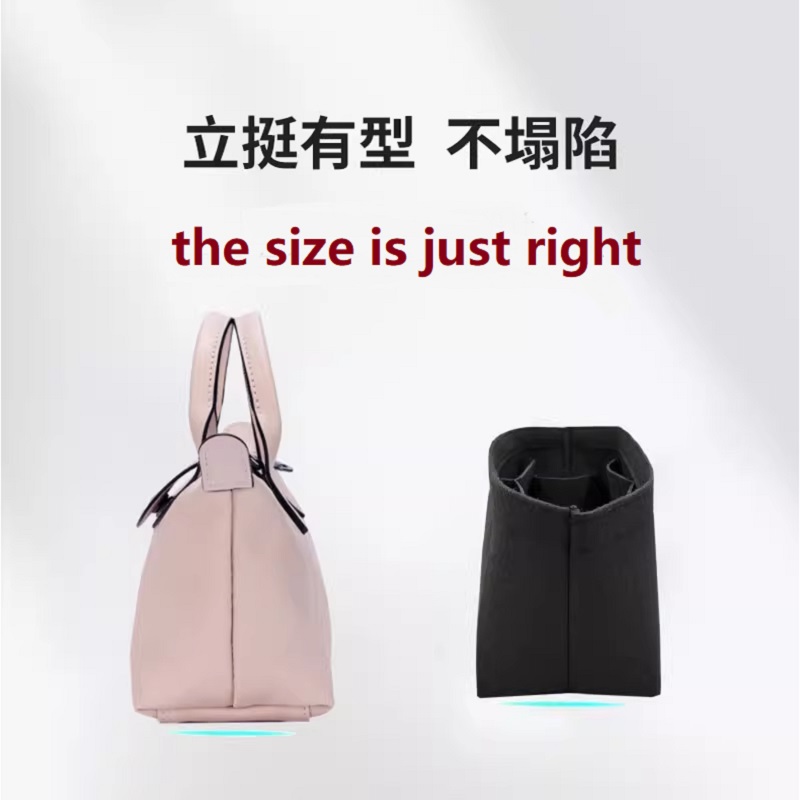 منظم حقيبة لإدراج حقيبة المكيا - مراجعة Women'S Bags Longchamp وسعره